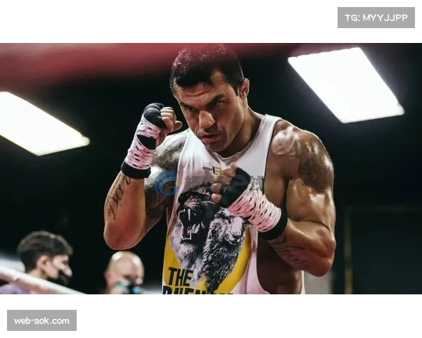 UFC裁判误听铃声酿乌龙 尼尔森与弗雷沃拉比赛现争议插曲